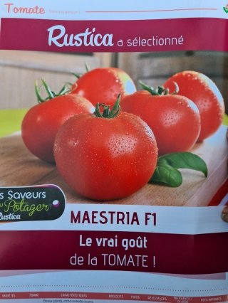 Tomate Greffée Maestria Pot de 1Lt