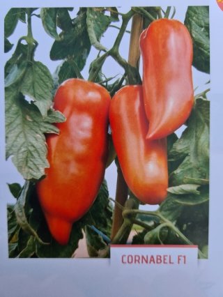 Tomate Greffée Cornabel 1Lt